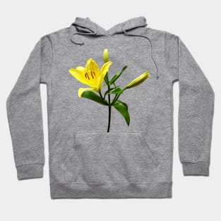 One Yellow Lily Hoodie